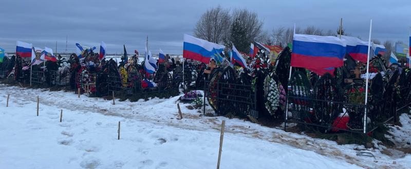 Фото Тимура Бойкова/Вологда-Поиск