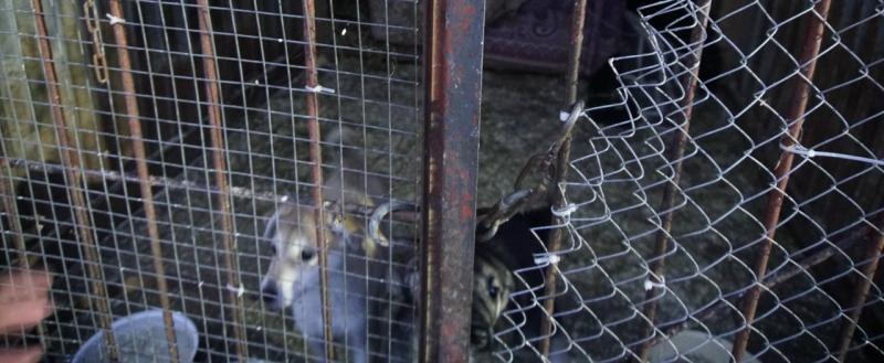 Никита Трушков, Vologda-Poisk.ru