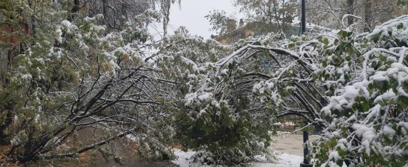Елена Литвинова, Vologda-poisk.ru