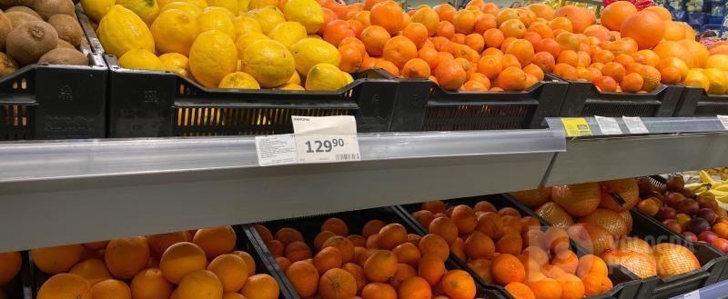 Вологда-поиск