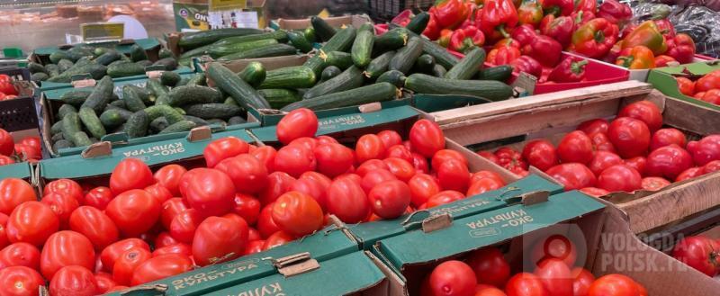 Вологда-поиск