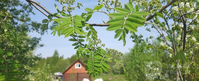 Вологда-поиск