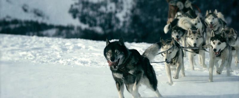 Кадр из фильма «Того» (2019) / Источник: Legion-Media