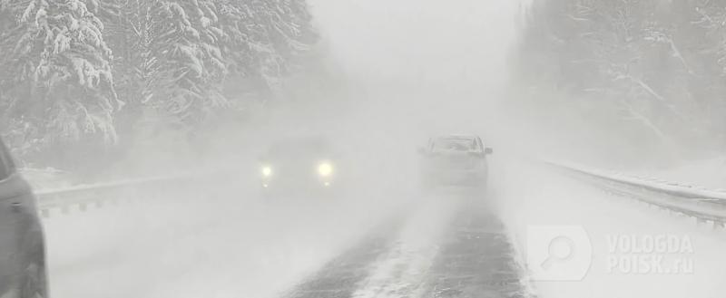 Фото: Вологда-поиск