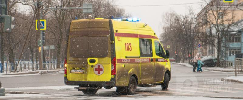 Фото: Вологда-поиск
