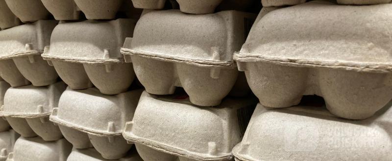 Фото: Вологда-поиск