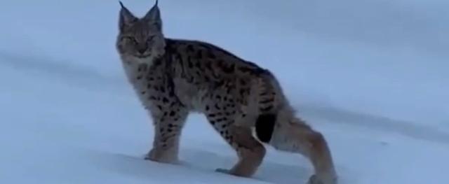 Фото из группы газеты 