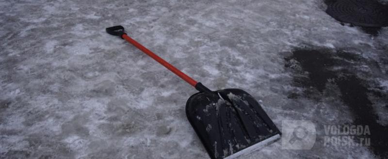 Вологда-поиск