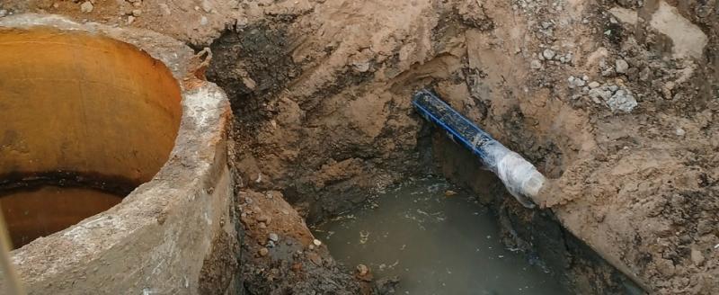 Тимур Бойков, Vologda-poisk.ru