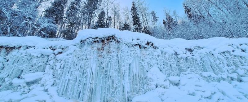 Фото со страницы Татьяны Колесниковой 