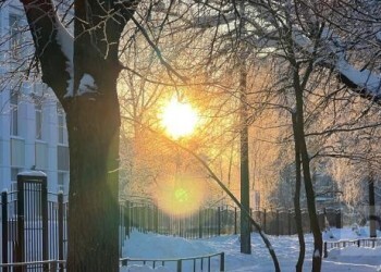 В России в разы вырос спрос на репетиторов по математике и физике