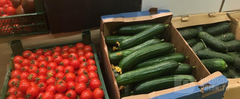 Фото: Вологда-поиск