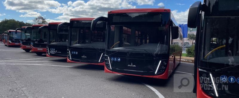 Вологда-Поиск