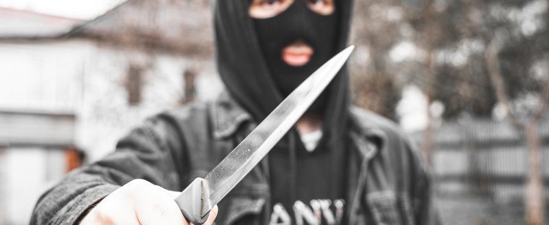 Фото Тимура Бойкова/Вологда-Поиск