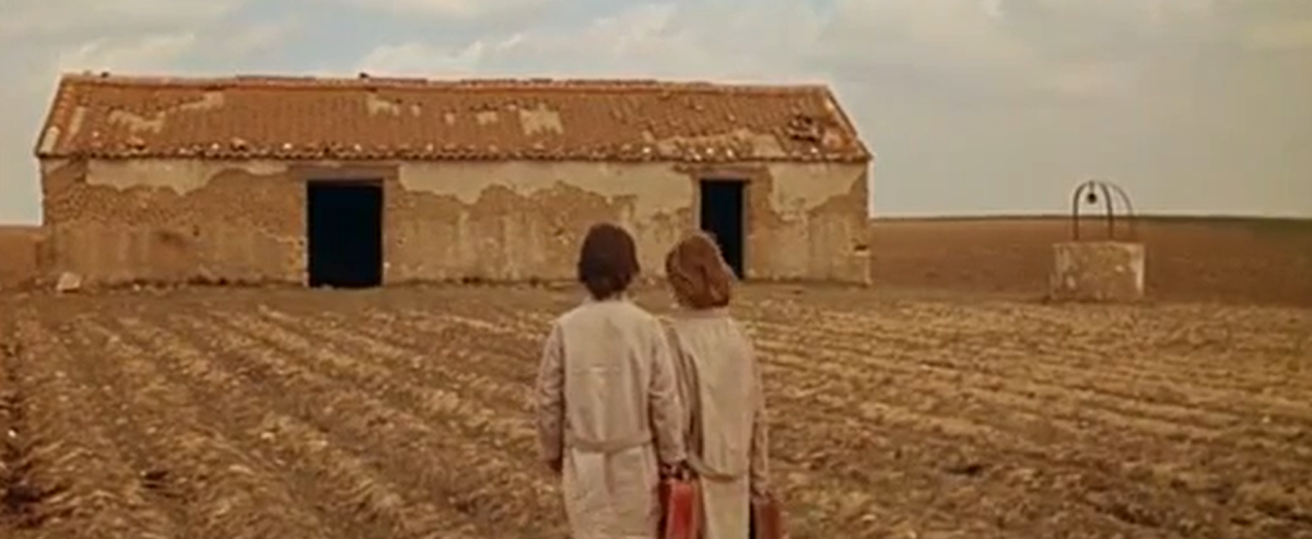 Шесть выдающихся дебютных картин, вписавших режиссёров в историю 