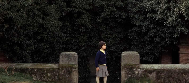 &laquo;Дух улья&raquo; (1973), 12+