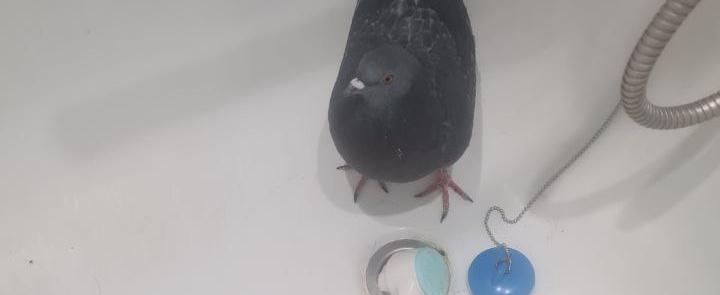 Фото - тг-канал главы региона