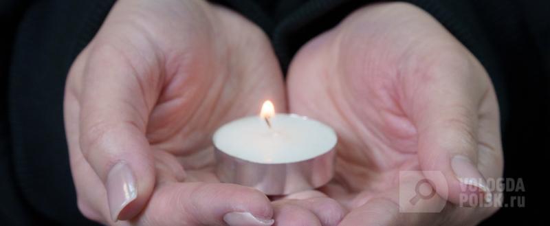 Вологда-поиск