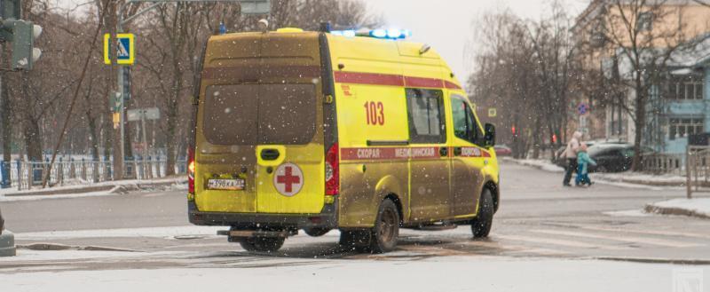 Фото: Вологда-поиск