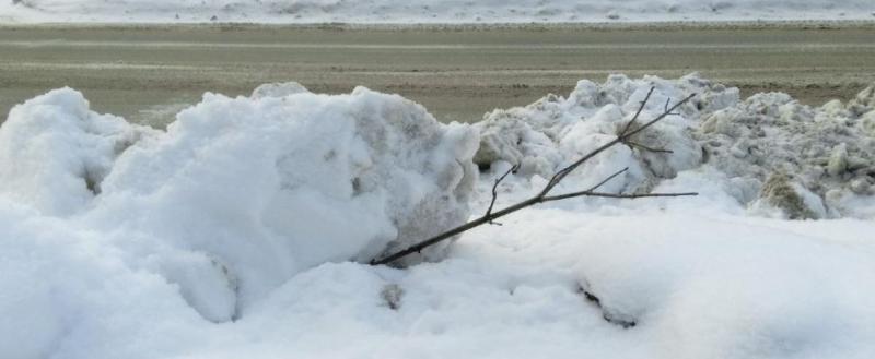 Фото - тг-канал главы региона