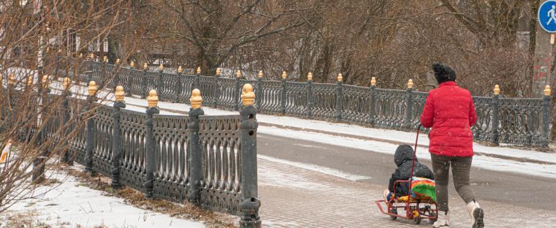 Фото Тимура Бойкова/Вологда-Поиск