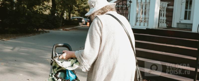 Фото: Вологда-поиск