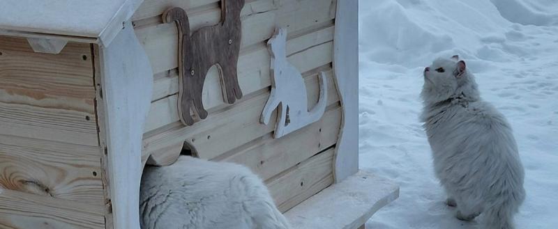 Фото взято из группы OFFLINE_ВОЖЕГА