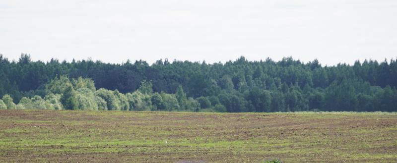 Фото Тимура Бойкова/Вологда-Поиск