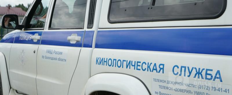 Вологда-поиск