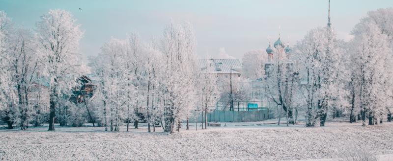 Вологда-Поиск