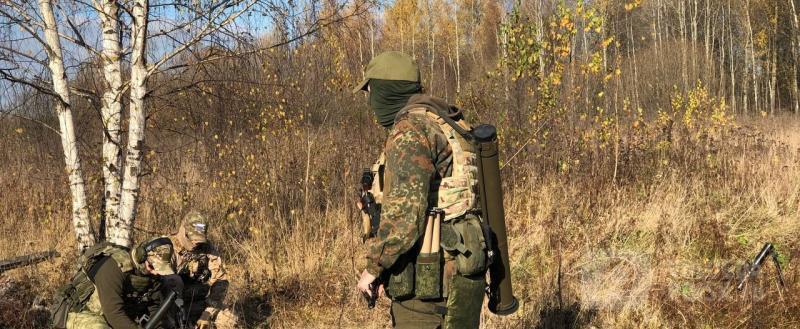 Вологда-поиск