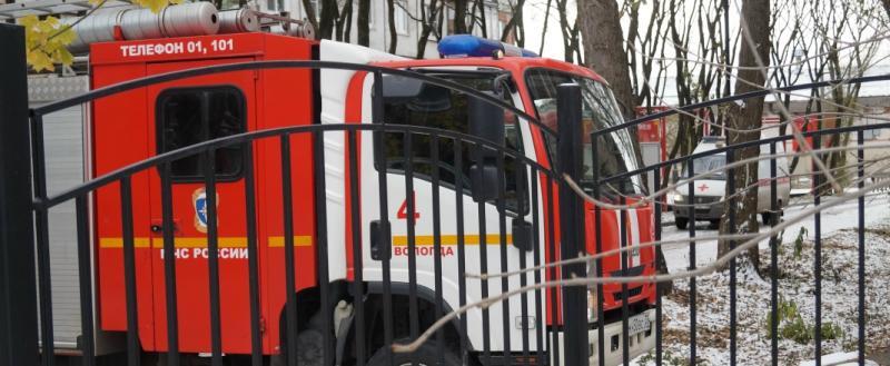 Марина Белова, Vologda-poisk.ru