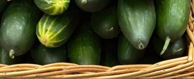 Фото подписчика Вологда-поиск