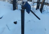 В Белозерске жители остались без воды из-за замёрзших колонок