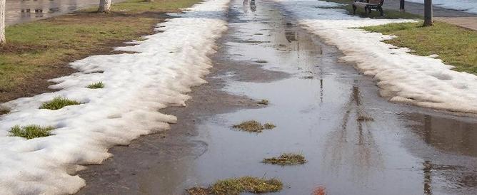 изображение сгенерировано ИИ 