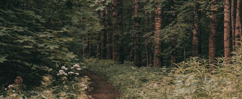 фото: Вологда-поиск