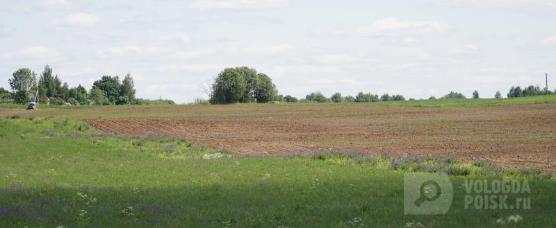 фото: Вологда-поиск
