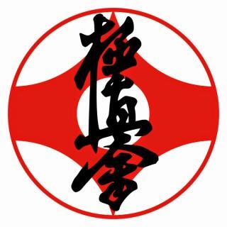 Федерация киокусинкай