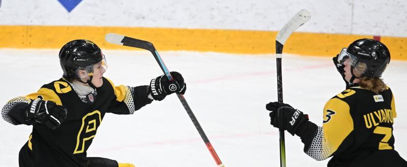 Фото: https://vk.com/mhk_almaz