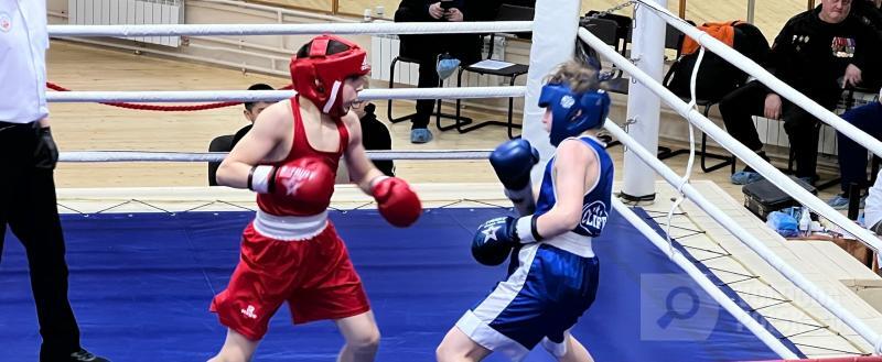 Тимур Бойков / Вологда-Поиск