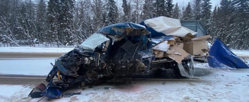 Фото пресс-службы УМВД по Вологодской области