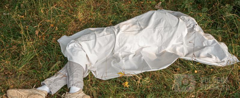 Фото: Вологда-поиск