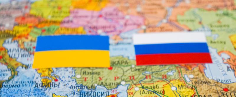 Фото: Вологда-поиск