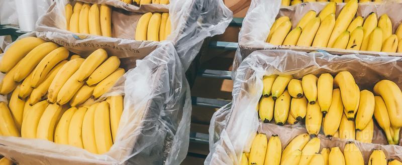 Фото: Вологда-поиск