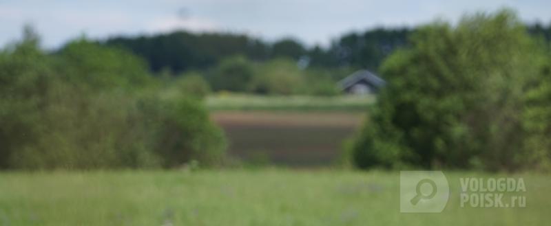 Фото: Вологда-поиск