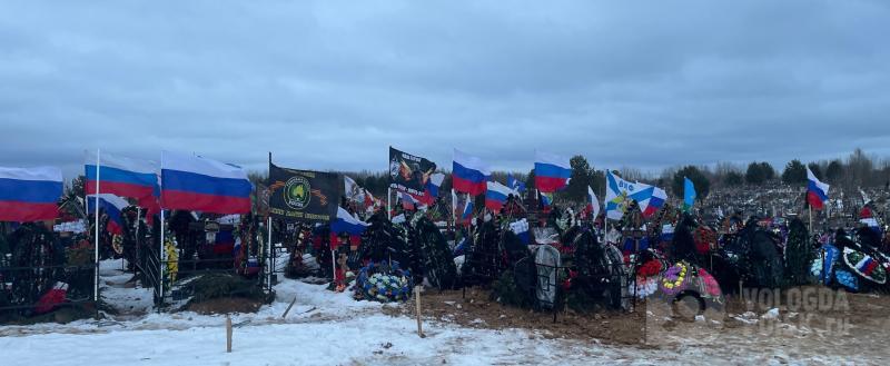 Елена Литвинова / Вологда-Поиск