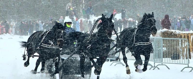 Газета Вологодского округа 