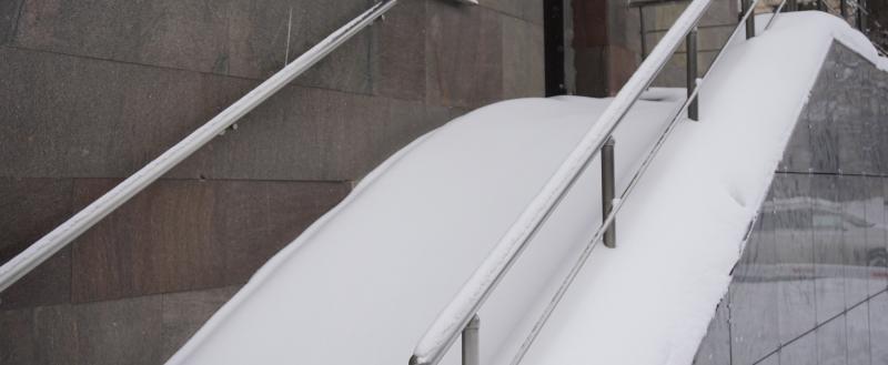 Фото: Никита Трушков / Вологда-Поиск