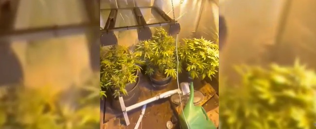 пресс-служба УМВД по Вологодской области