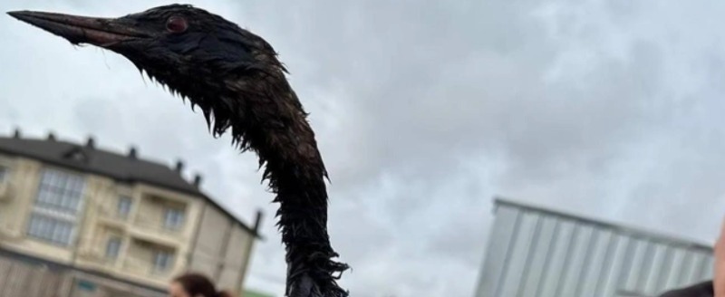 реабилитационный центр 